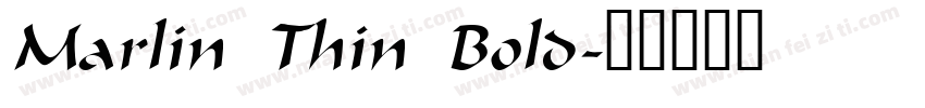 Marlin Thin Bold字体转换